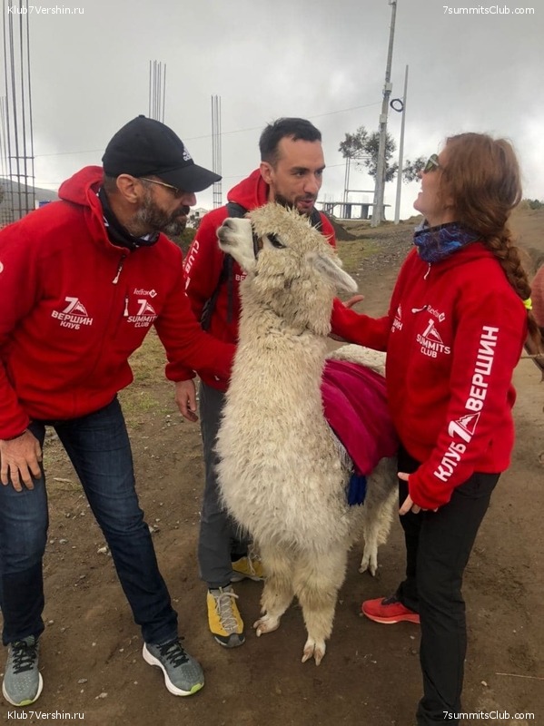 ������� ������ 2020. �. �������, ���� 201