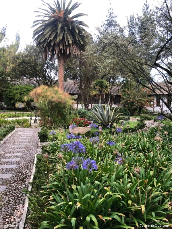 ������� ������ 2020. �. �������, ���� 204