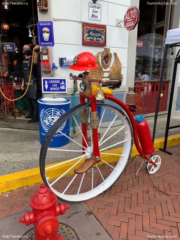 �������. ������ 2020 ����. �. ���������, ���� 55