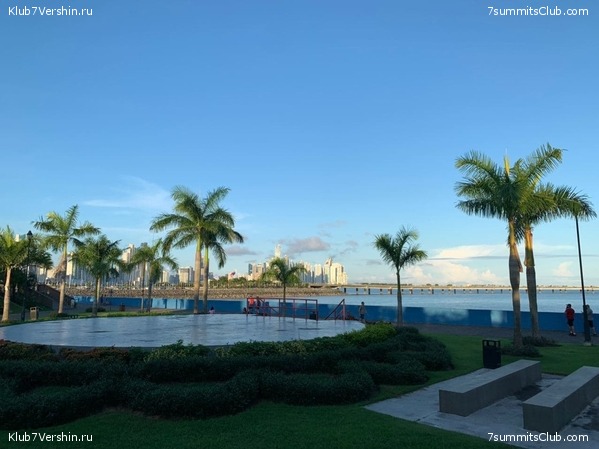 �������. ������ 2020 ����. �. ���������, ���� 13