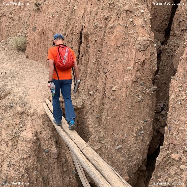 �������. ������ 2020 ����. �. ���������, ���� 37