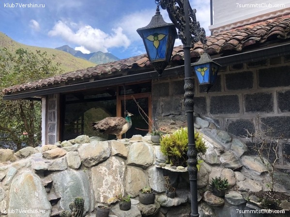 ������� ������ 2020. �. �������, ���� 109