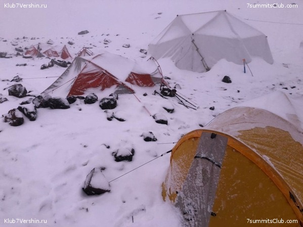 ������� ������ 2020. �. �������, ���� 116