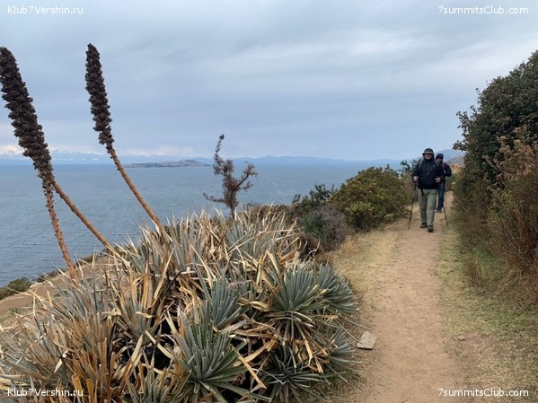 �������. ������ 2020 ����. �. ���������, ���� 16