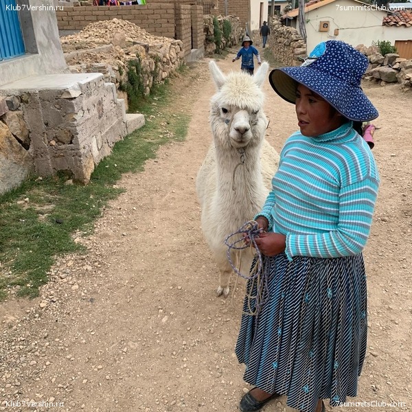 �������. ������ 2020 ����. �. ���������, ���� 46