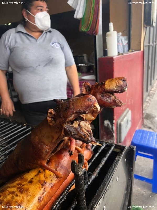 ������� ������ 2020. �. �������, ���� 225