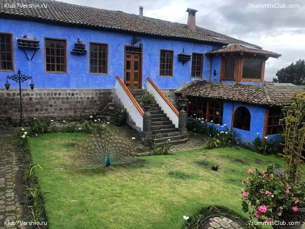 ������� ������ 2020. �. �������, ���� 133