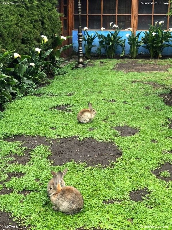 ������� ������ 2020. �. �������, ���� 229