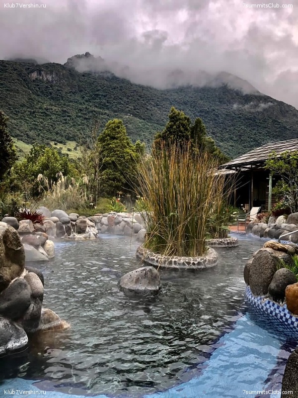 ������� ������ 2020. �. �������, ���� 234