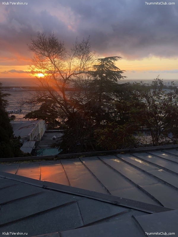 ����. ���� 2020 - 2021, ���� 66