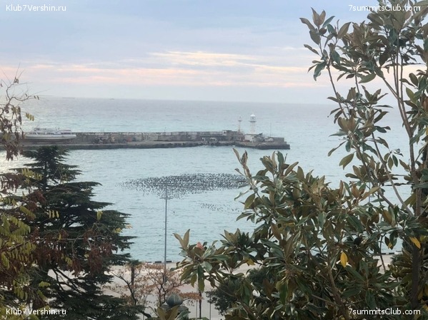 ����. ���� 2020 - 2021, ���� 28