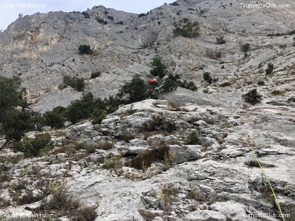 ����. ���� 2020 - 2021, ���� 29