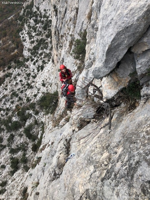 ����. ���� 2020 - 2021, ���� 81