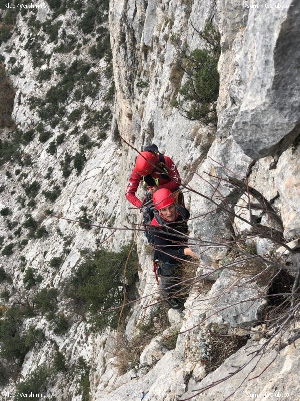 ����. ���� 2020 - 2021, ���� 82