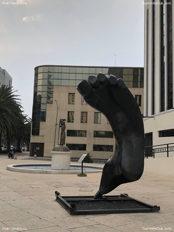 �������. ����� ��� 2020-21. ������ Ը���� ��������, ���� 131