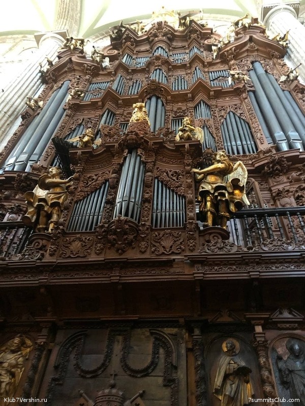 �������. ����� ��� 2020-21. ������ Ը���� ��������, ���� 141