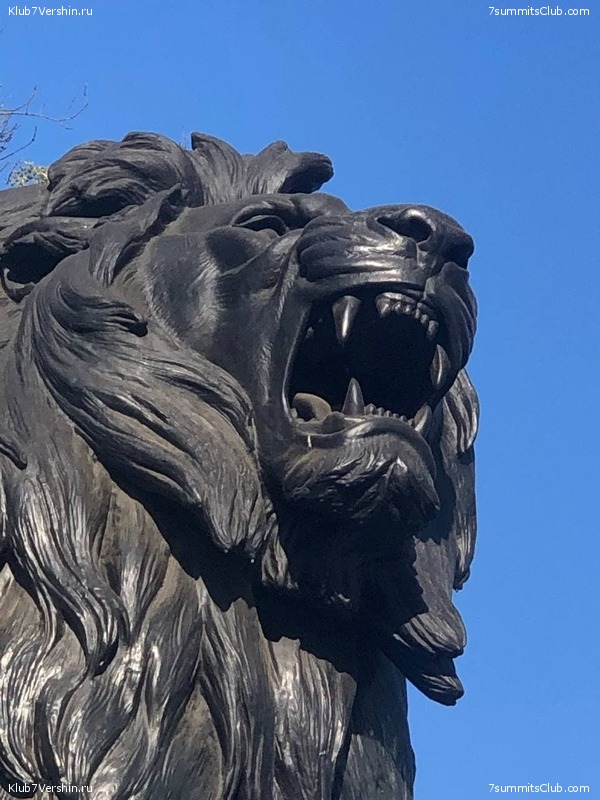 �������. ����� ��� 2020-21. ������ Ը���� ��������, ���� 145