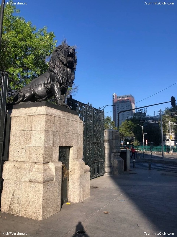 �������. ����� ��� 2020-21. ������ Ը���� ��������, ���� 147