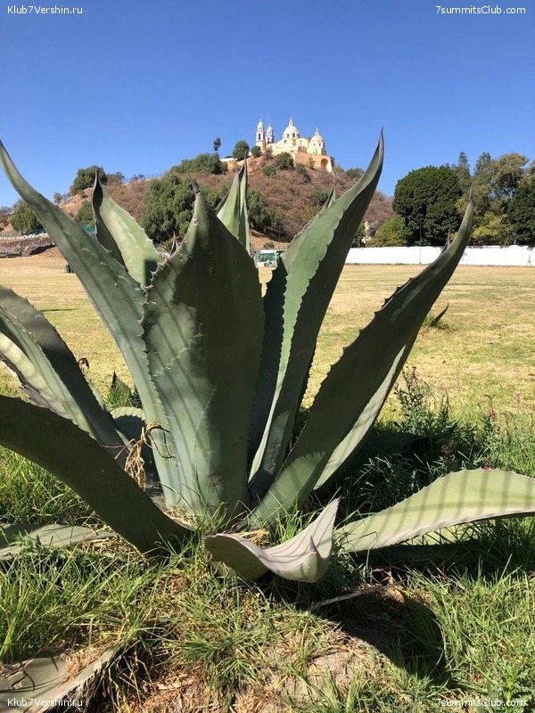 .   2020-21.  Ը ,  152