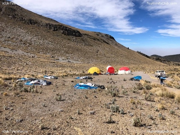 �������. ����� ��� 2020-21. ������ Ը���� ��������, ���� 91