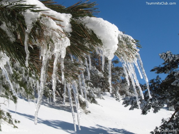 ������ ��������� � �����, ���� 26