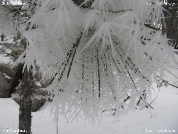 ������ ��������� � �����, ���� 27