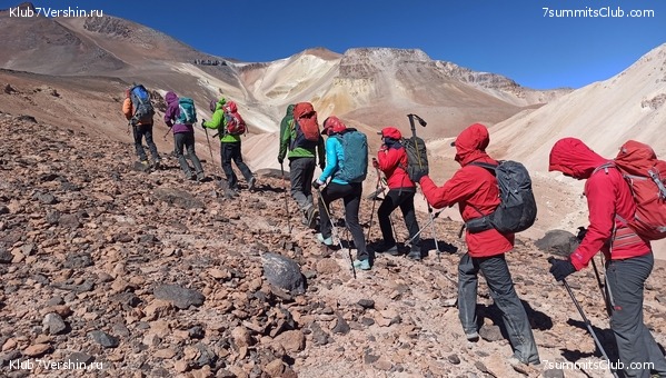 ���� ���� ������. ������ 2021. ������ ������, ���� 1