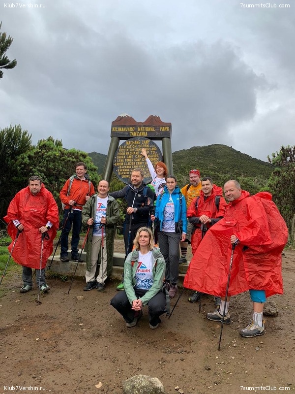 ������������. ������ 2021, ������� ���������, ���� 49