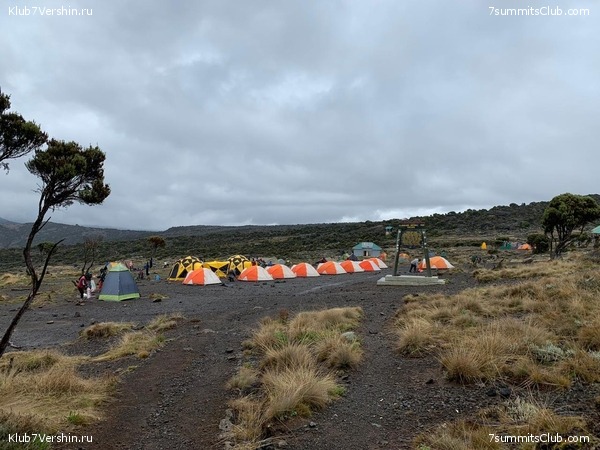 ������������. ������ 2021, ������� ���������, ���� 26