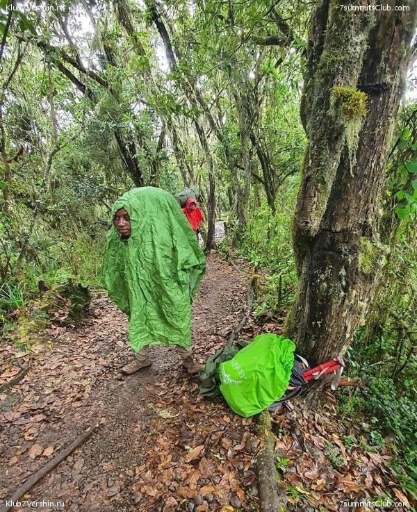 ������������. ������ 2021 ����, ��� ������ �������, ���� 15