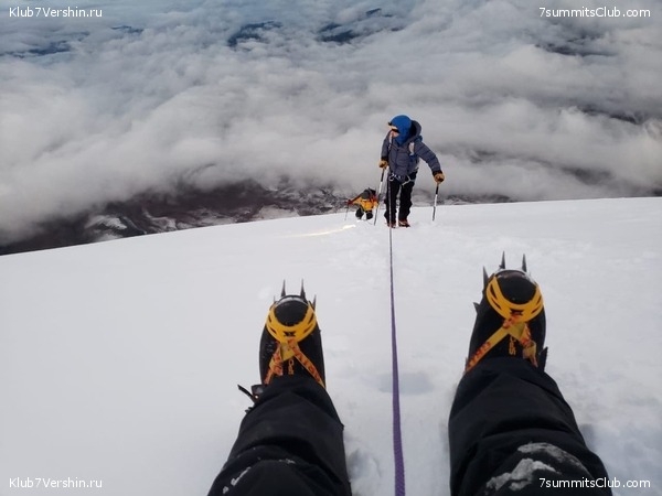 ������� ��������. 2021 ���, ���� 115