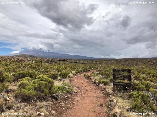 ������������ 2021. ������ ��������, ���� 14