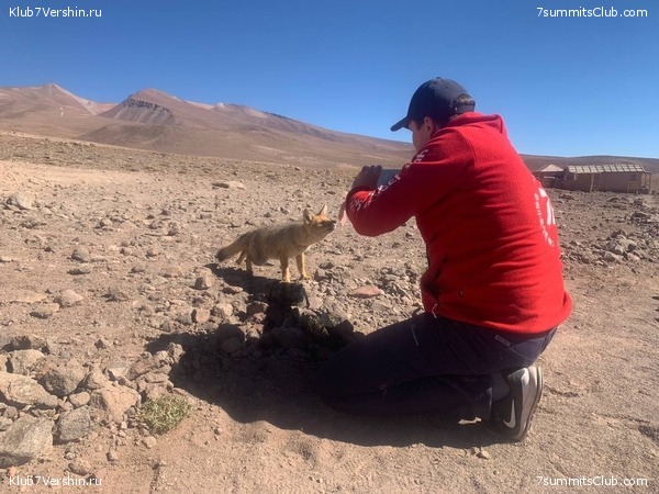 ���� ���� ������. ������ 2021. ������ ������, ���� 43