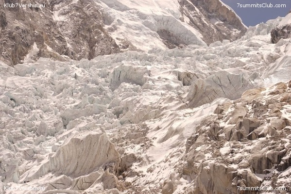   -  2021.  3.    ,  46