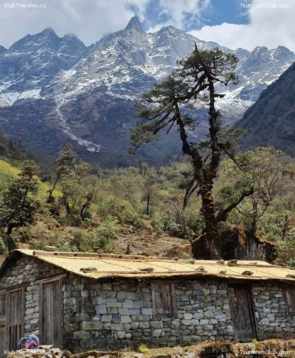 ���������� ���������. ������� ��������� 2021 ����, ���� 56