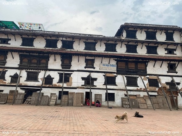 ���� � ������� ������ ��������. ������ ����� 7 ������, ��� 2021 ����, ���� 49