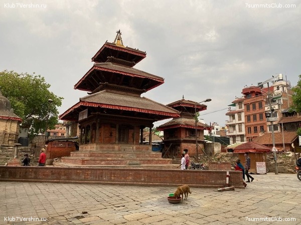 ���� � ������� ������ ��������. ������ ����� 7 ������, ��� 2021 ����, ���� 50