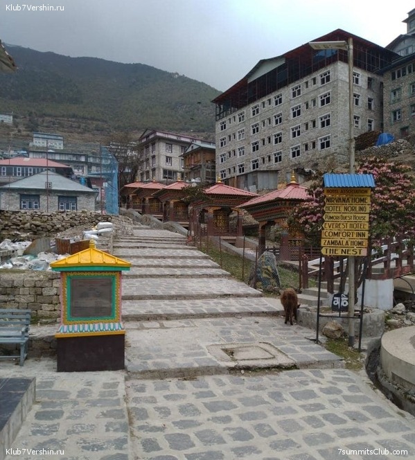 ���������� ���������. ������� ��������� 2021 ����, ���� 54