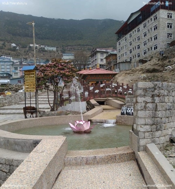 ���������� ���������. ������� ��������� 2021 ����, ���� 52