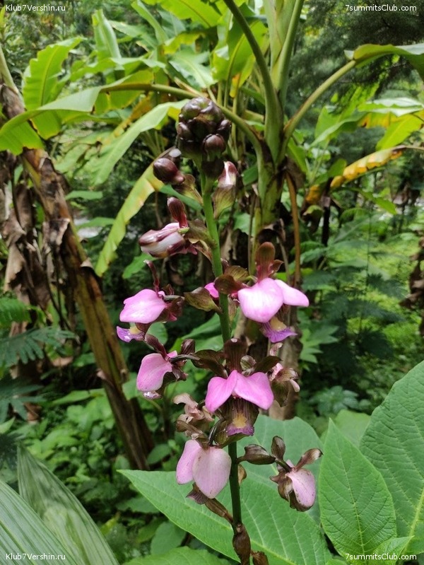 ������������ 2021. ������� ���������, ���� 102