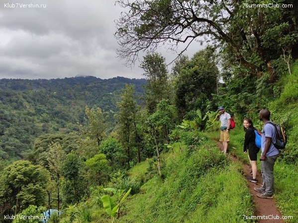 ������������ 2021. ������� ���������, ���� 36