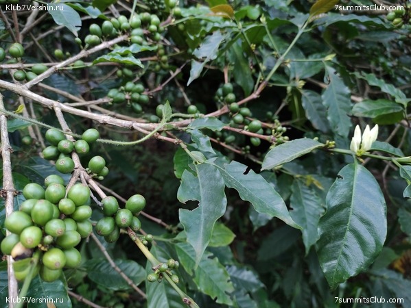 ������������ 2021. ������� ���������, ���� 37