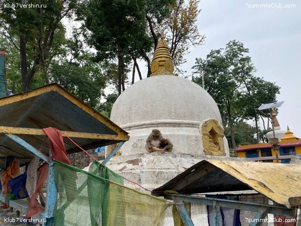 ���� � ������� ������ ��������. ������ ����� 7 ������, ��� 2021 ����, ���� 51