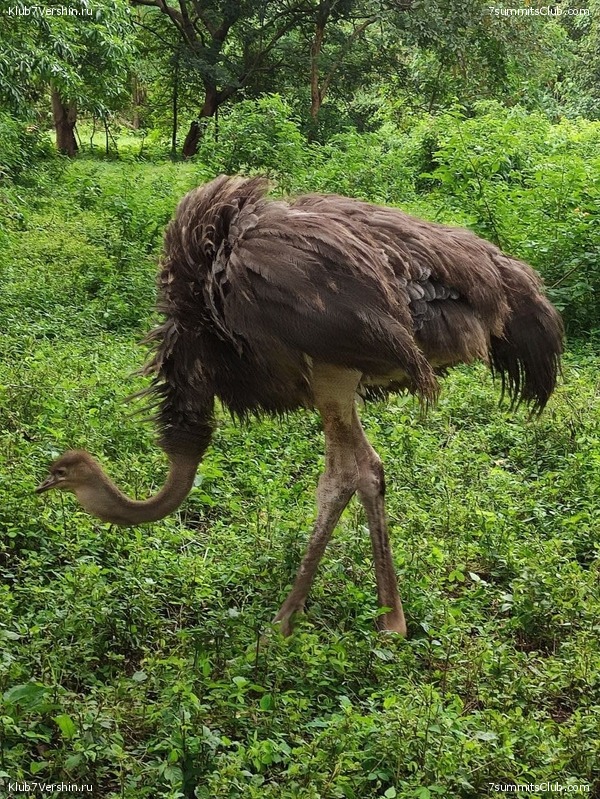 ������������ 2021. ������� ���������, ���� 115