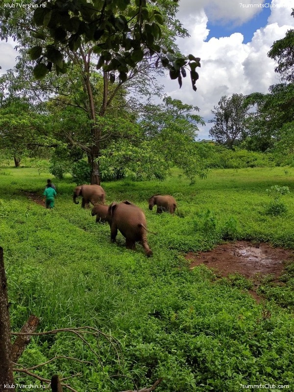 ������������ 2021. ������� ���������, ���� 116