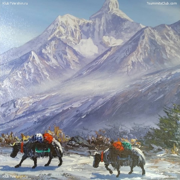 ���������� ���������. ������� ��������� 2021 ����, ���� 48