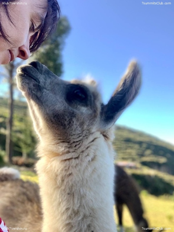 �������. ������ - ��� 2021. ����� ���������, ���� 205