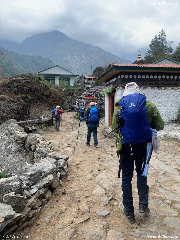 ���� � ������� ������ ��������. ������ ����� 7 ������, ��� 2021 ����, ���� 96