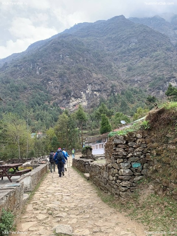 ���� � ������� ������ ��������. ������ ����� 7 ������, ��� 2021 ����, ���� 97