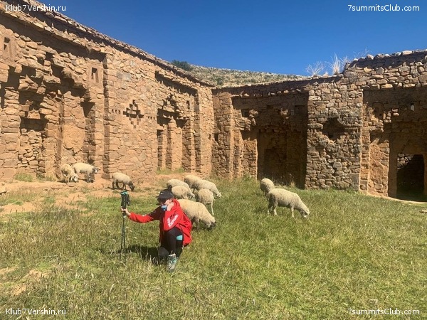 �������. ������ - ��� 2021. ����� ���������, ���� 103